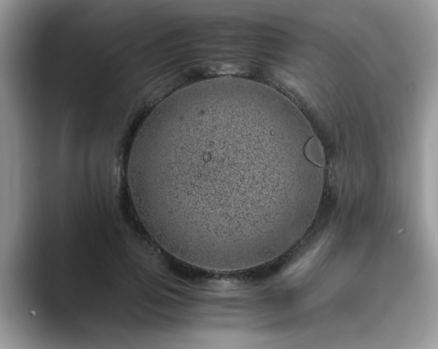 X0000089870741200707051151