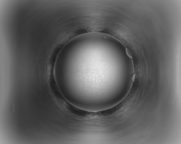 X0000089870742200707051151