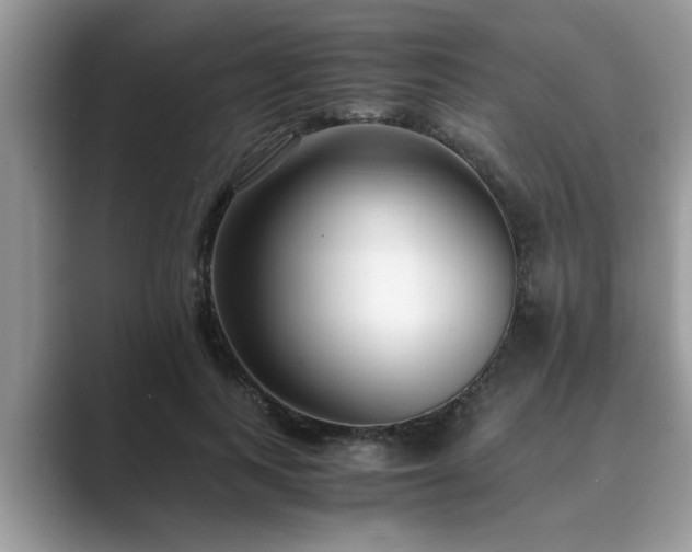 X0000089870743200707051151