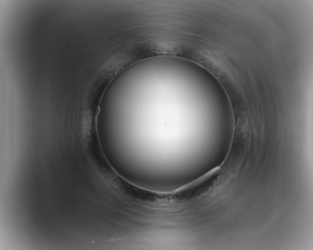 X0000089870744200707051151
