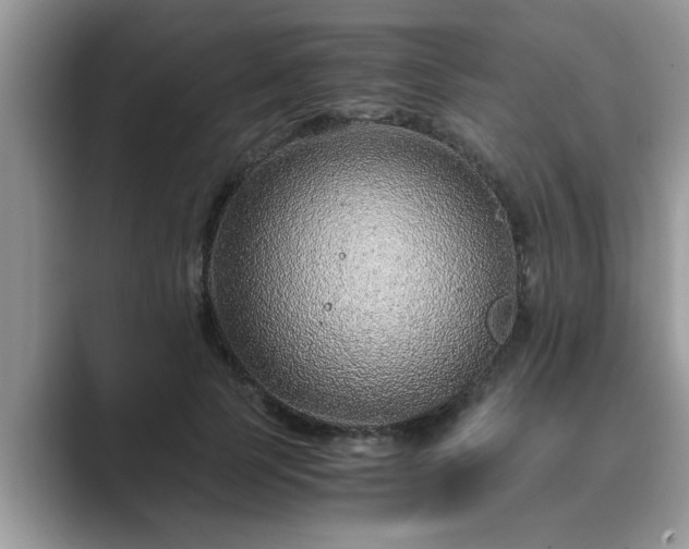 X0000089870745200707051151