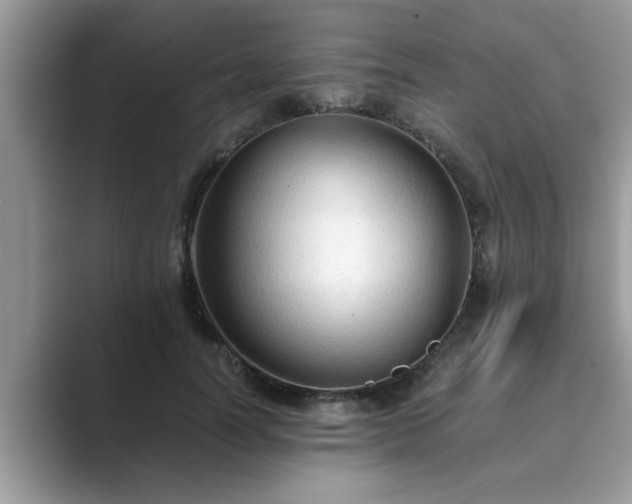 X0000089870746200707051151