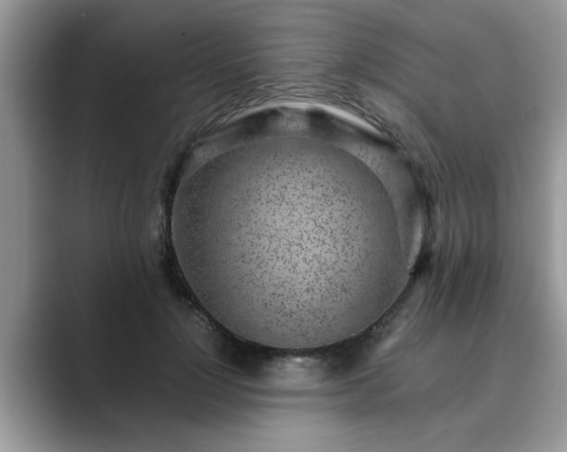 X0000089870748200707051151