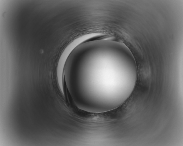 X0000089870750200707051151