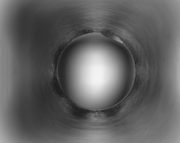 X0000089870752200707051151