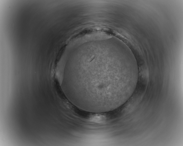 X0000089870754200707051151