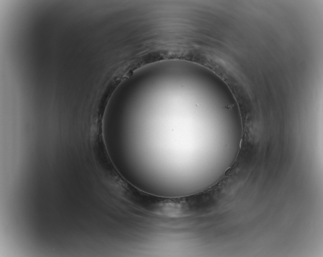 X0000089870756200707051151