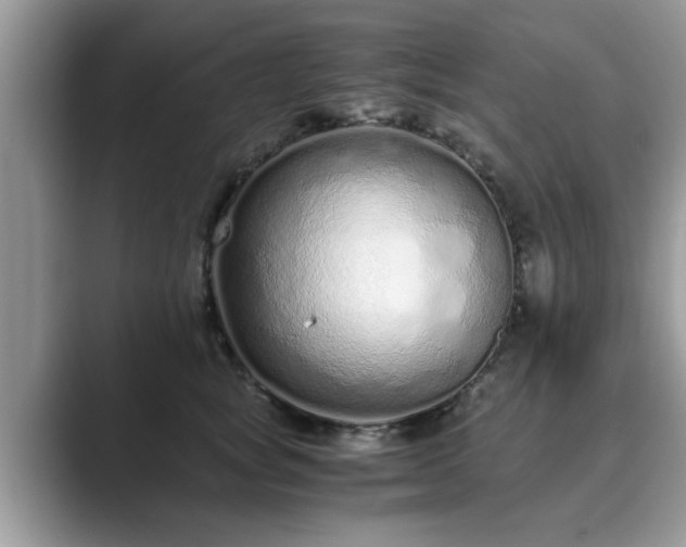 X0000089870757200707051151