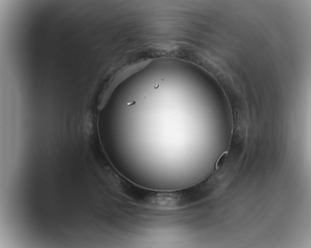 X0000089870758200707051151