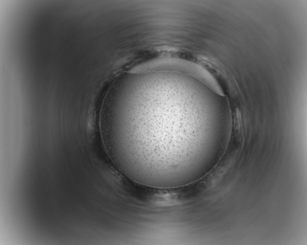 X0000089870760200707051151