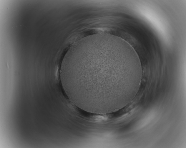 X0000089870765200707051152