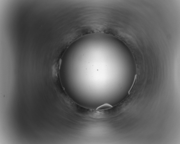 X0000089870768200707051152