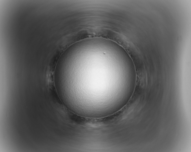 X0000089870770200707051151