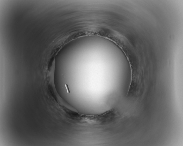 X0000089870773200707051151