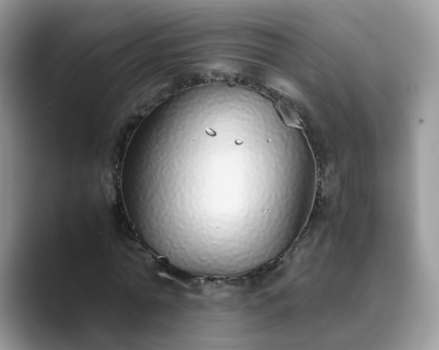 X0000089870774200707051151