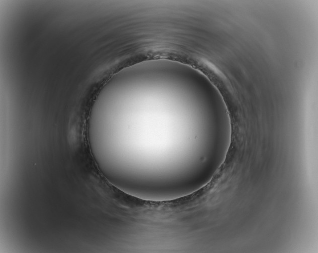 X0000089870775200707051151