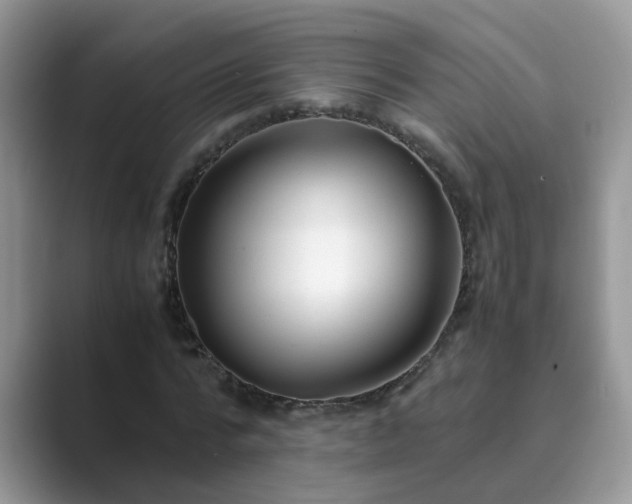 X0000089870776200707051151