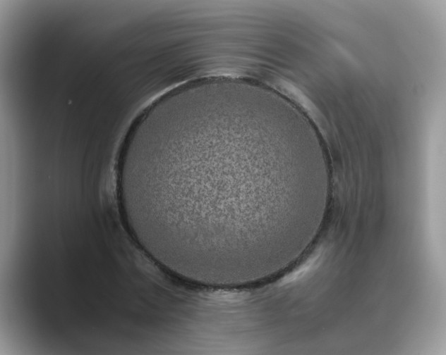 X0000089870779200707051151