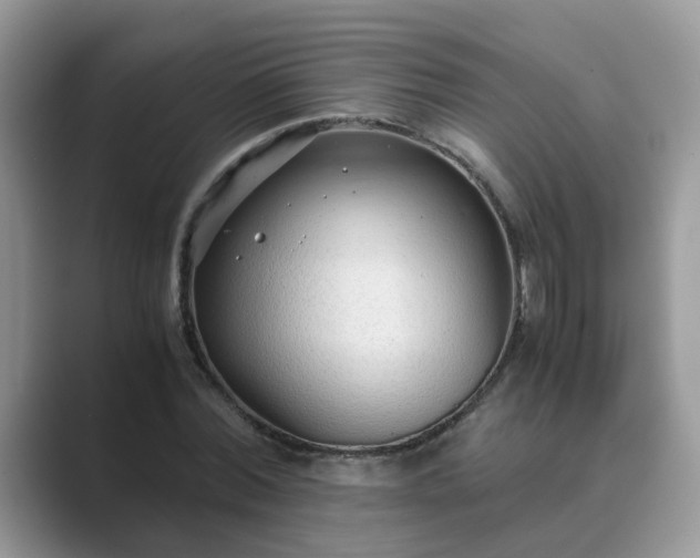 X0000089870780200707051151