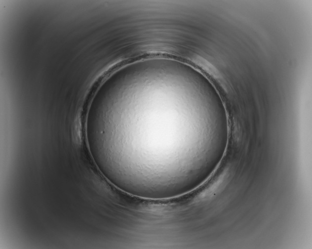 X0000089870782200707051151