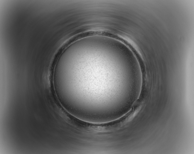 X0000089870783200707051151