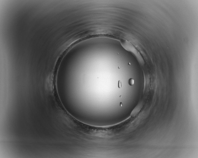 X0000089870786200707051151