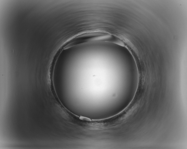 X0000089870789200707051151