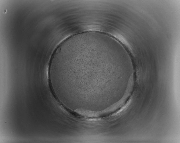 X0000089870790200707051151
