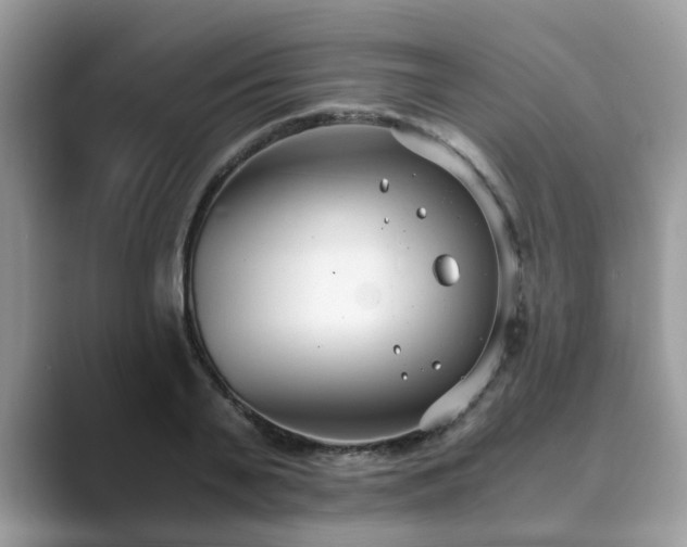 X0000089870791200707051151