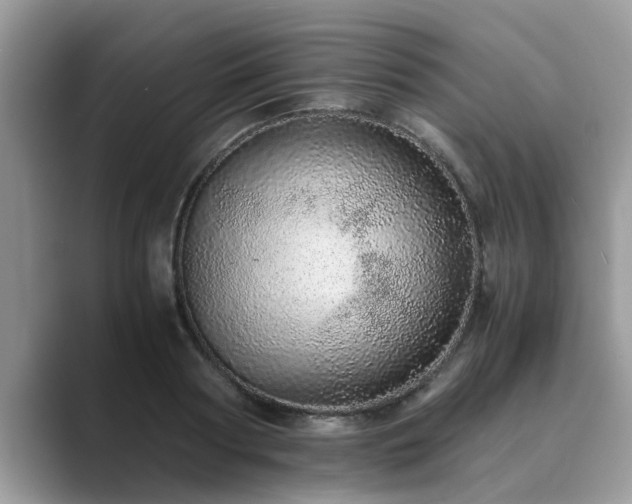 X0000089870794200707051151
