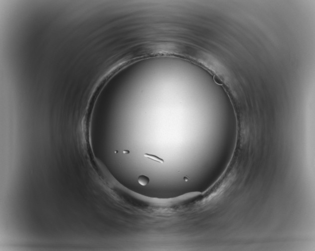 X0000089870798200707051151