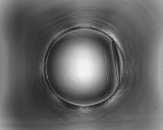 X0000089870799200707051151