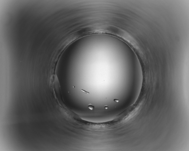 X0000089870801200707051151