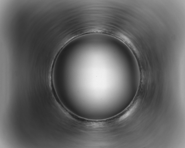 X0000089870802200707051151