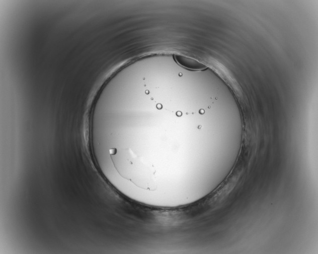 X0000089870804200707051151