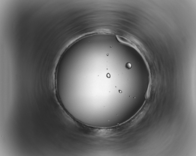 X0000089870808200707051151