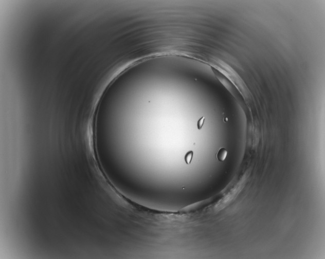X0000089870812200707051151