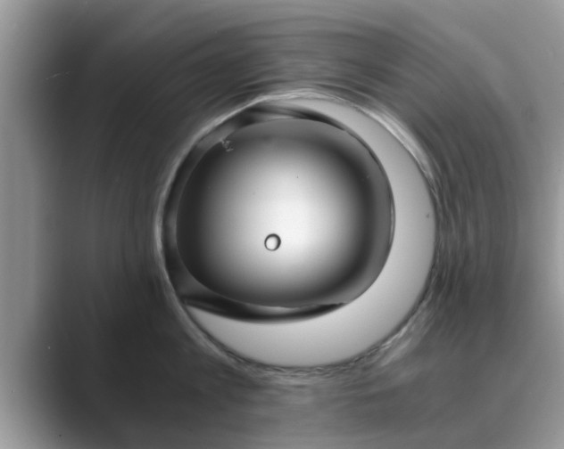 X0000089870813200707051150