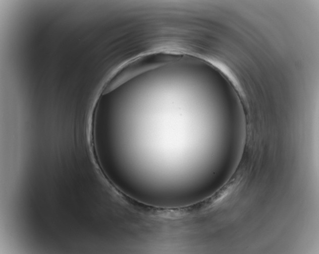 X0000089870815200707051150