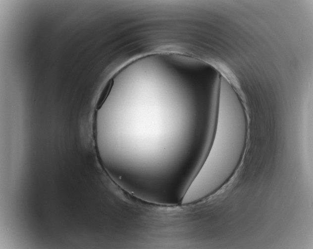 X0000089870816200707051150