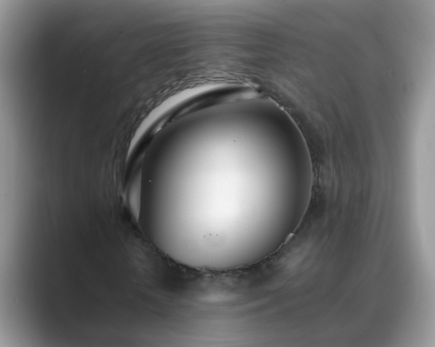 X0000089870818200707051150