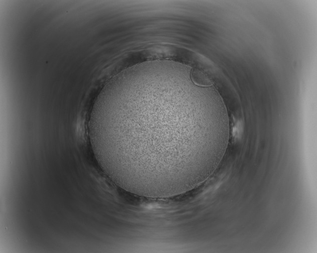 X0000089870819200707051150