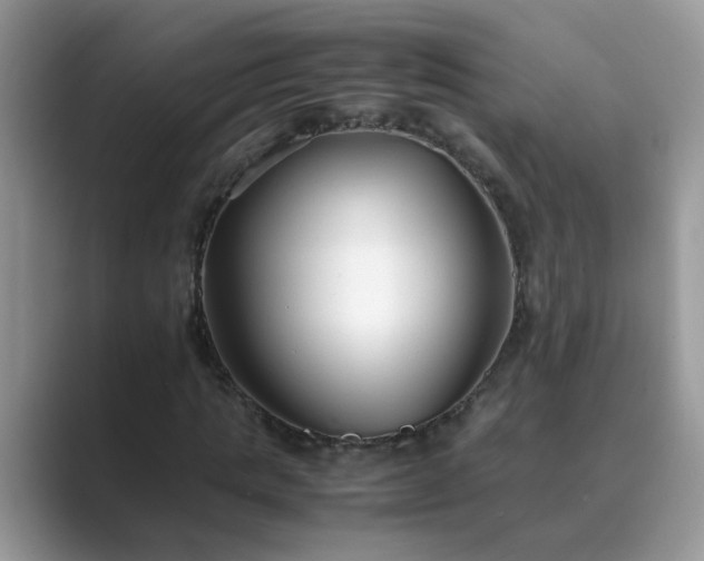 X0000089870821200707051150