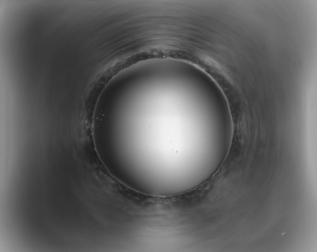 X0000089870822200707051150
