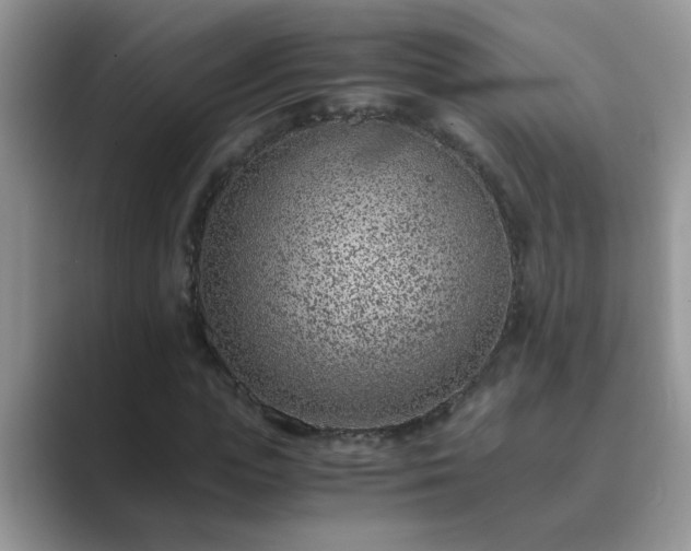 X0000089870823200707051150