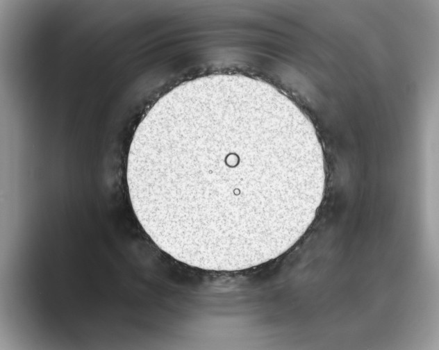 X0000089870824200707051150