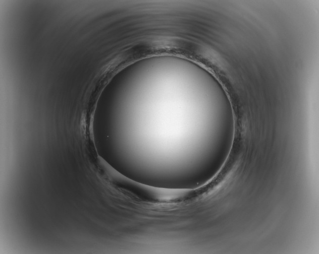 X0000089870825200707051150