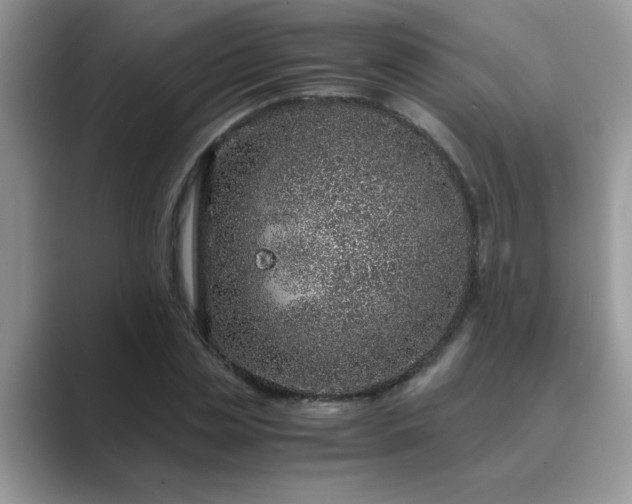 X0000089870829200707051150