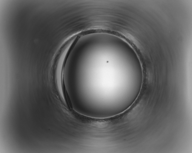X0000089870830200707051150