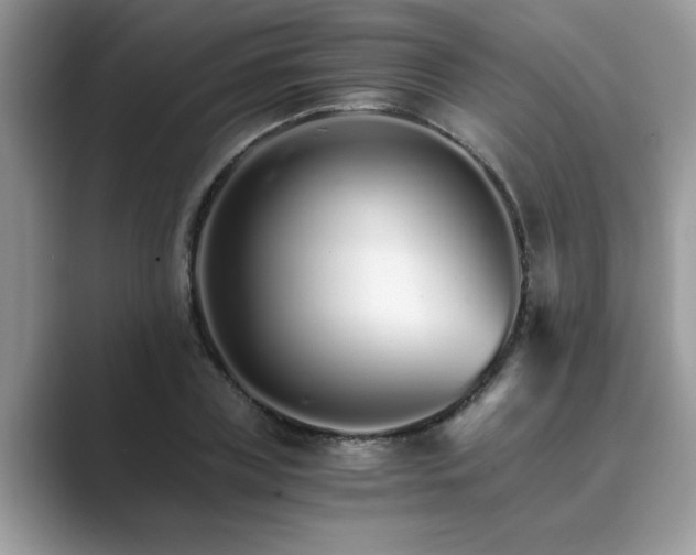 X0000089870835200707051150
